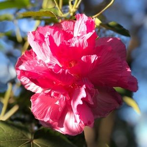 Meet your Posher, Sandy